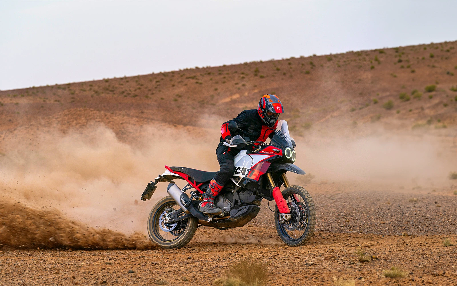 Ducati DesertX Rally - Race Wilder